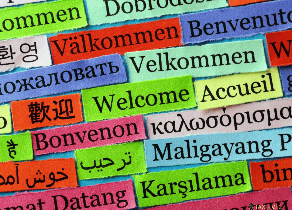 Chauffeur VTC multilingue à Cherbourg – Service international Taxi VTC pour Elles